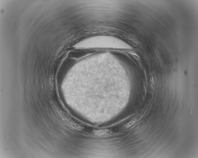 X0000053080461200508081250