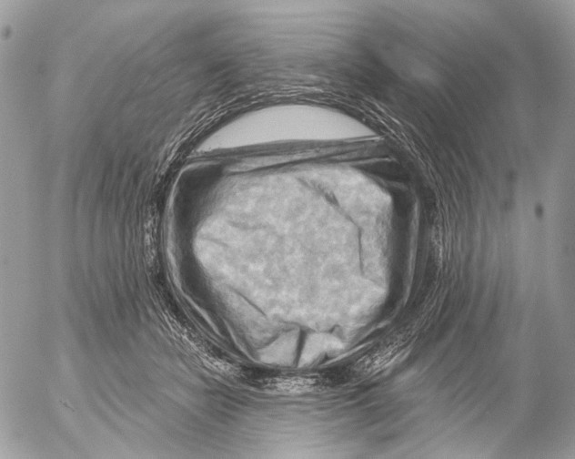 X0000053080462200508081250