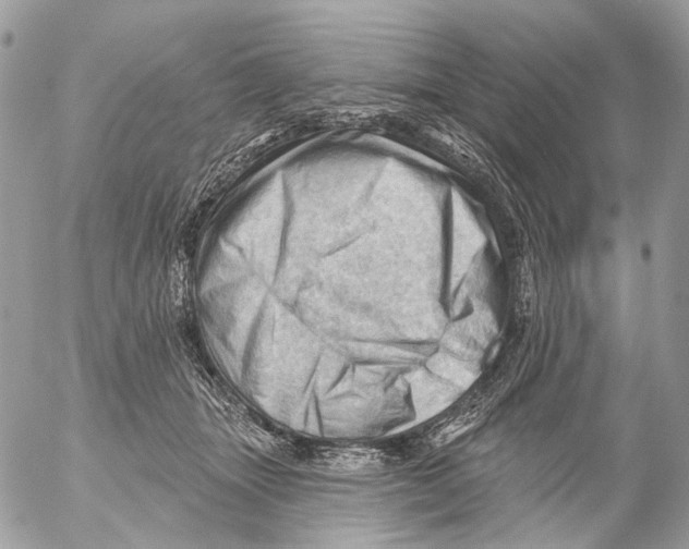 X0000053080463200508081250