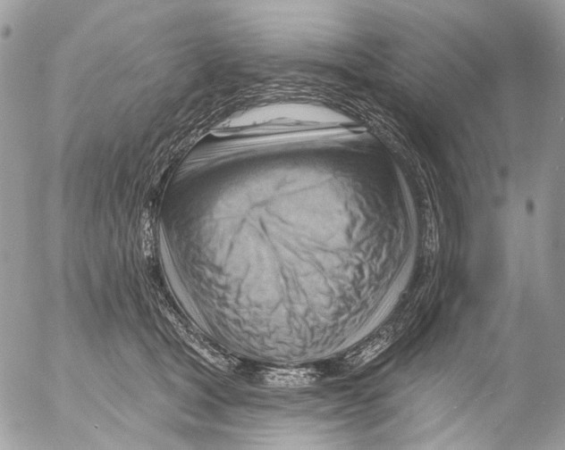 X0000053080465200508081250