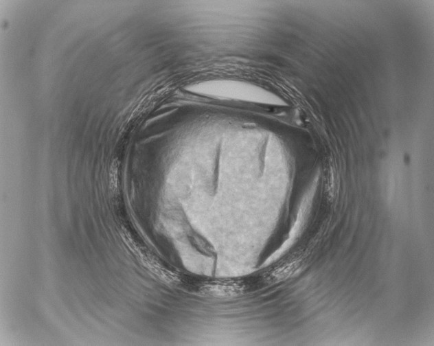 X0000053080466200508081250