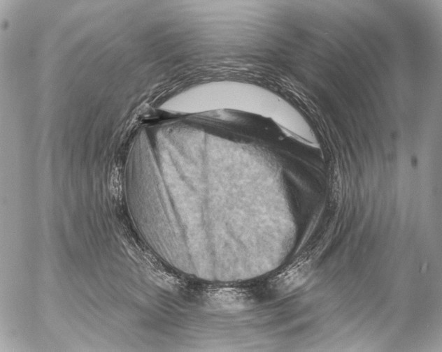 X0000053080467200508081250