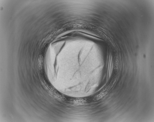 X0000053080468200508081250