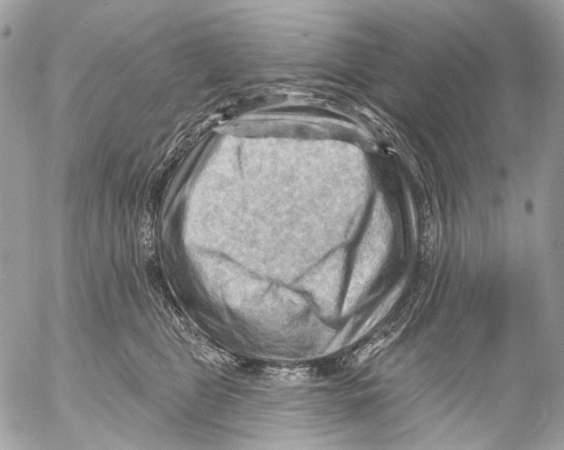 X0000053080469200508081250