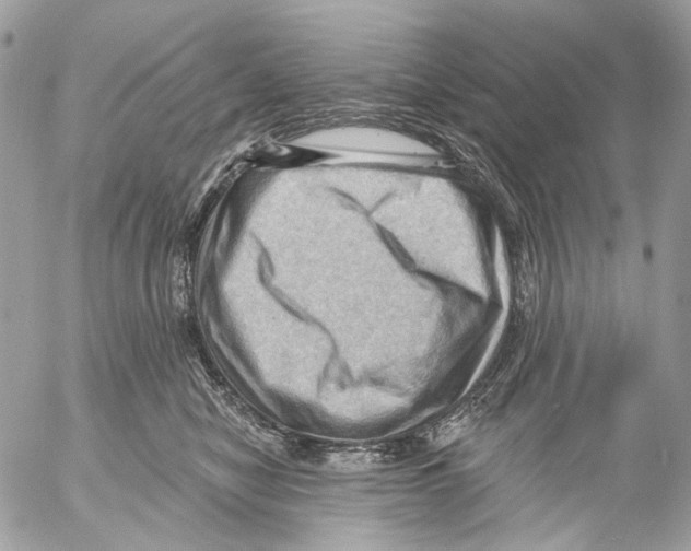 X0000053080470200508081250