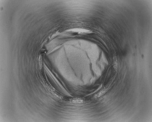 X0000053080471200508081250