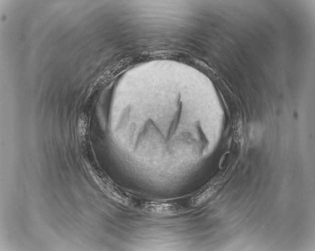 X0000053080472200508081250