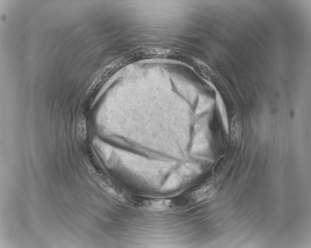 X0000053080474200508081250