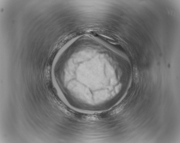 X0000053080475200508081250