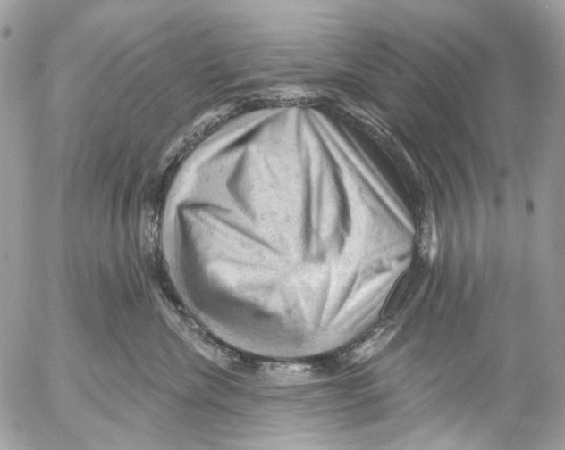 X0000053080476200508081250