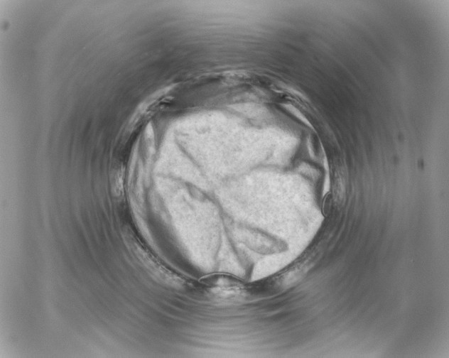 X0000053080477200508081250