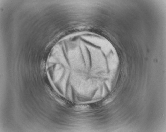 X0000053080480200508081250