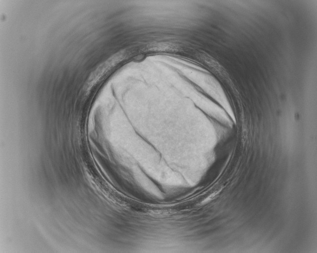 X0000053080482200508081249