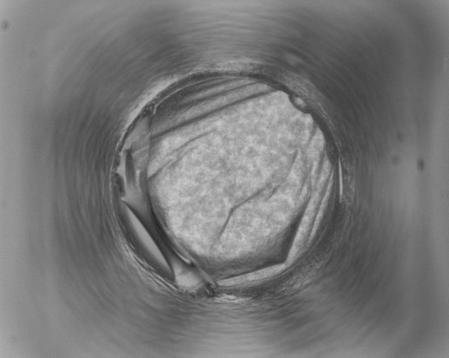 X0000053080483200508081249