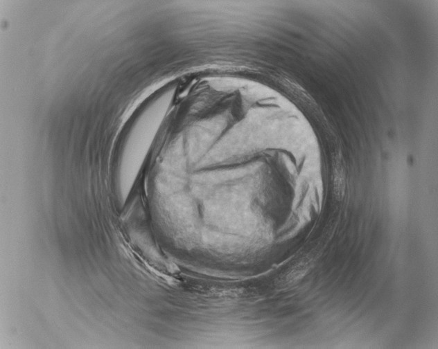 X0000053080484200508081249