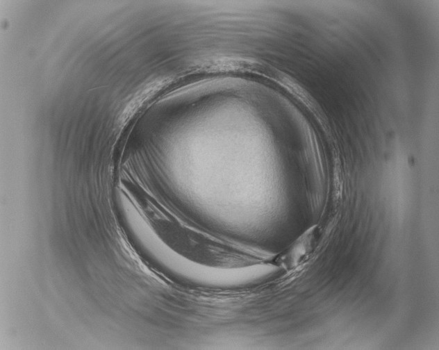 X0000053080485200508081249