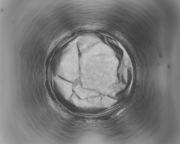 X0000053080486200508081249