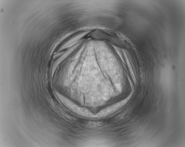 X0000053080487200508081249