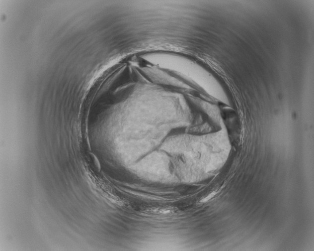 X0000053080488200508081249