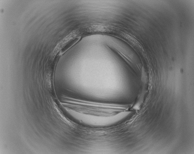 X0000053080489200508081249