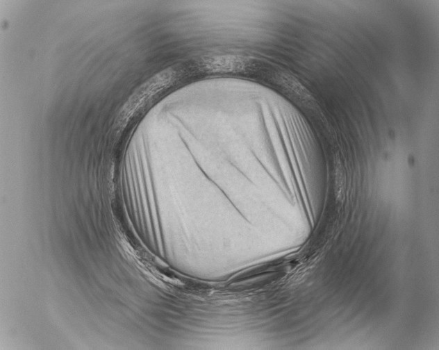 X0000053080490200508081249