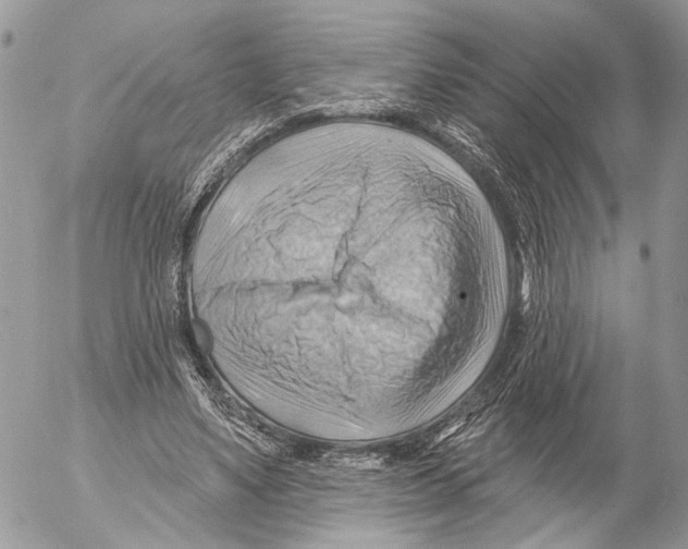 X0000053080491200508081249