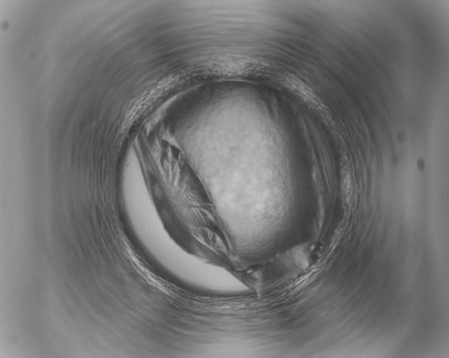 X0000053080493200508081249