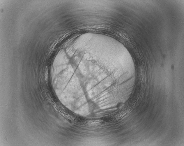 X0000053080495200508081249