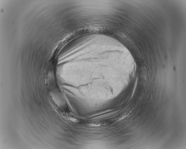 X0000053080496200508081249