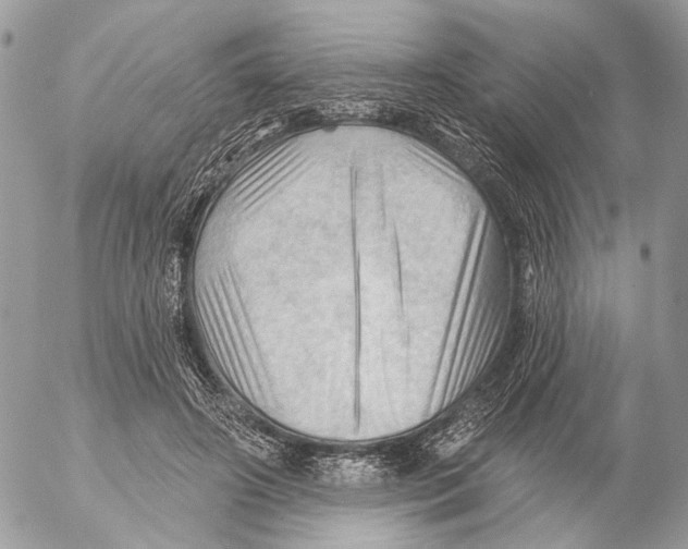 X0000053080498200508081249