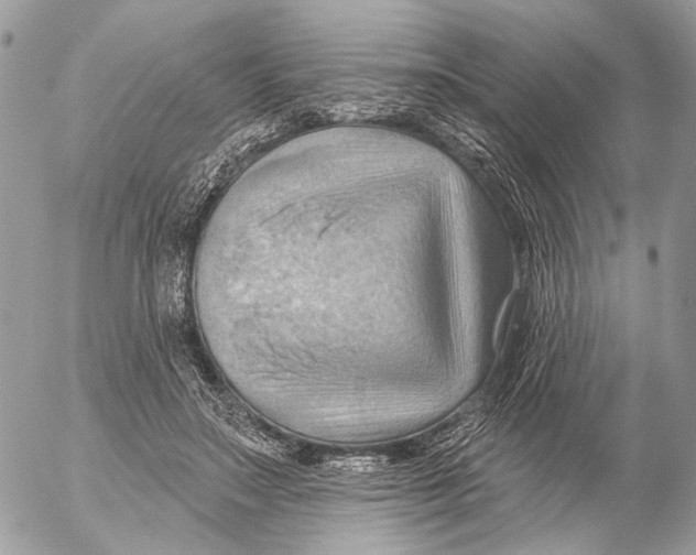 X0000053080499200508081249