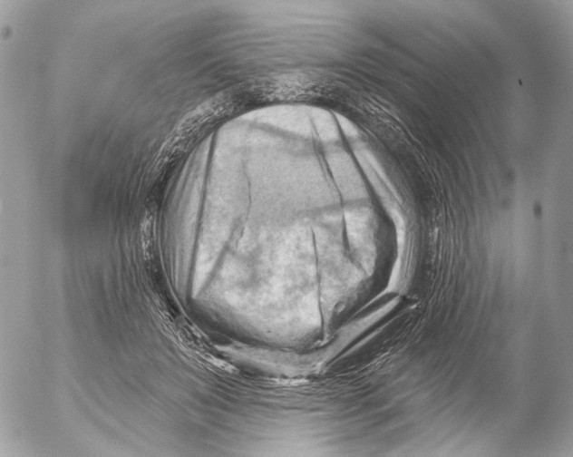 X0000053080503200508081249