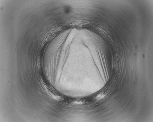 X0000053080504200508081249