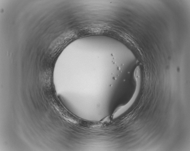 X0000053080505200508081249