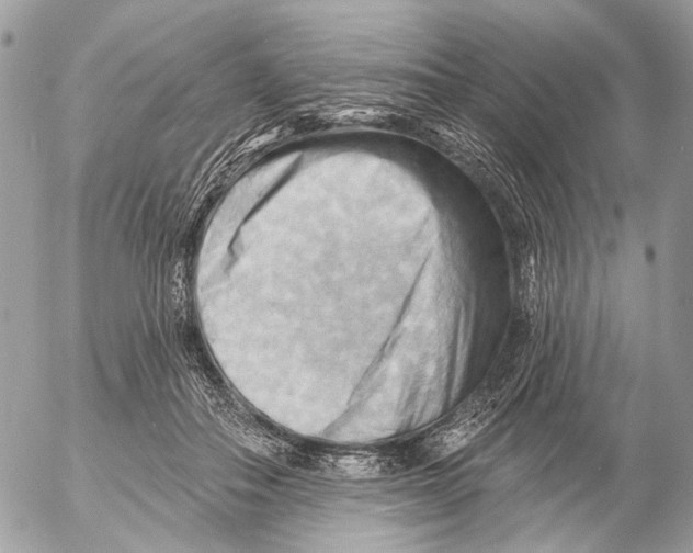 X0000053080506200508081249