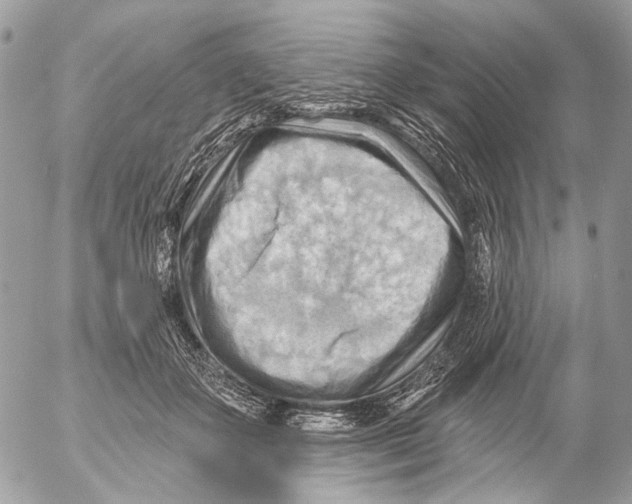 X0000053080507200508081249