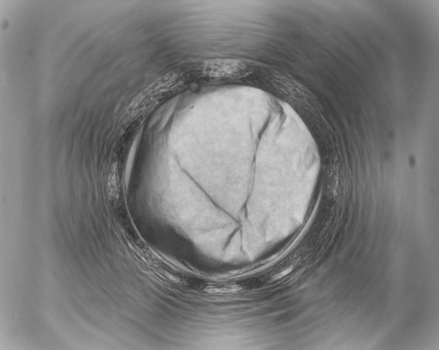 X0000053080510200508081249