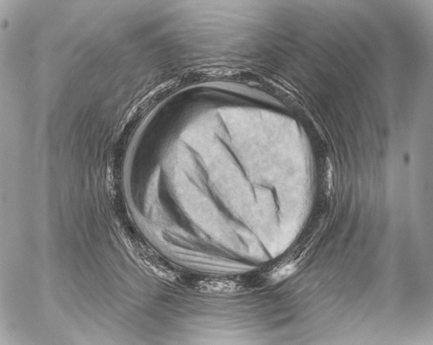 X0000053080512200508081249