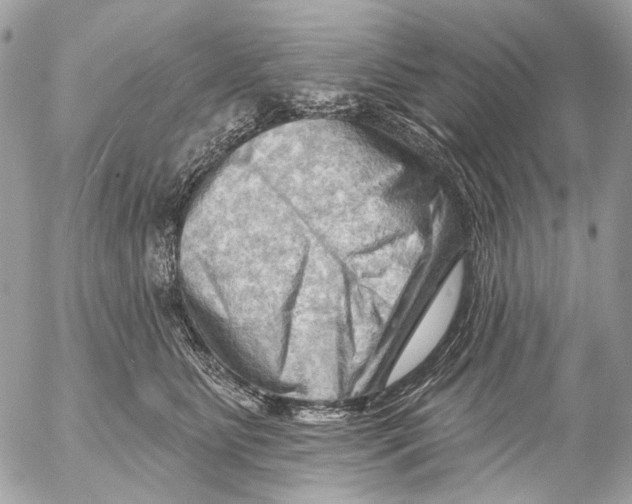 X0000053080515200508081248