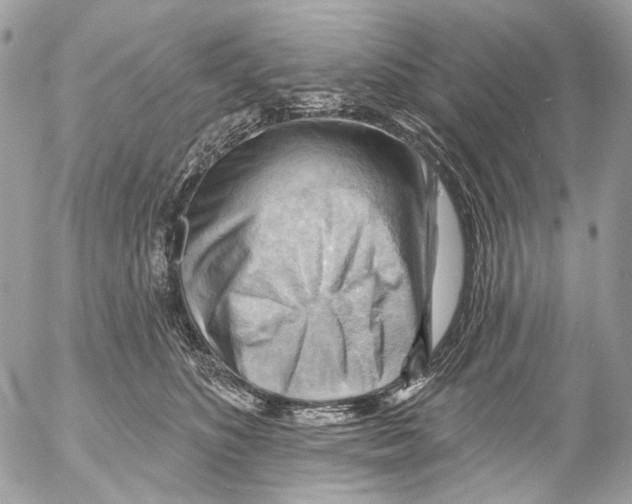 X0000053080516200508081248