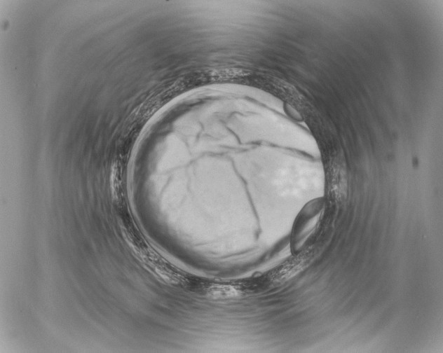 X0000053080519200508081248