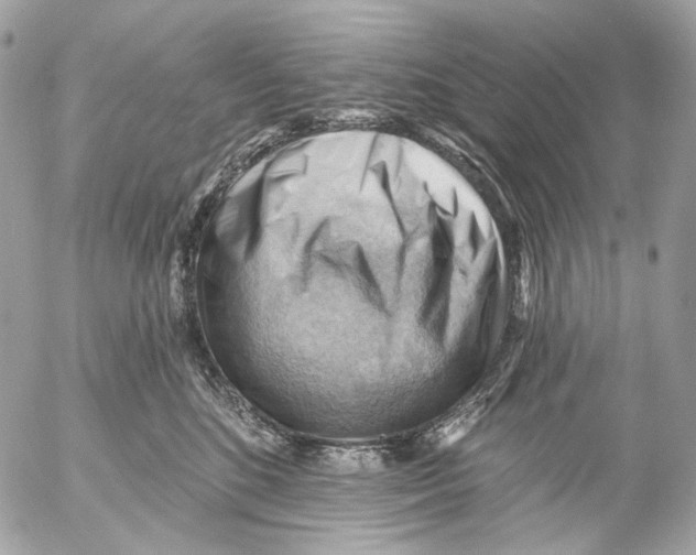 X0000053080520200508081248