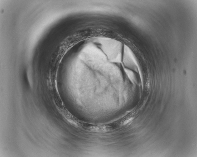 X0000053080524200508081248