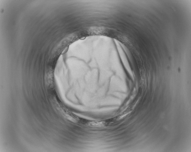 X0000053080526200508081248