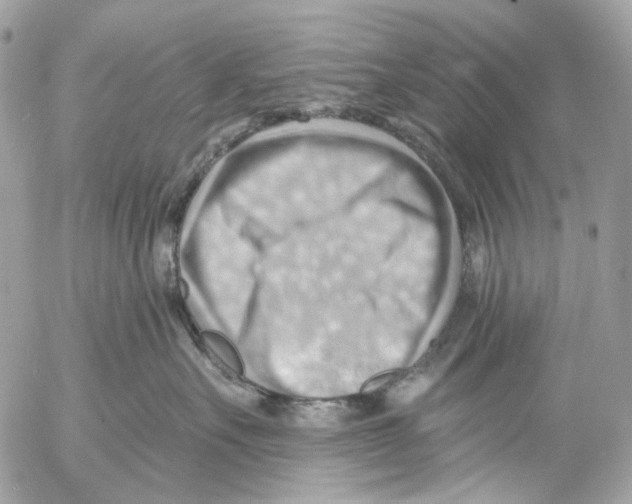 X0000053080527200508081248