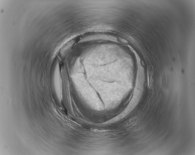 X0000053080531200508081248