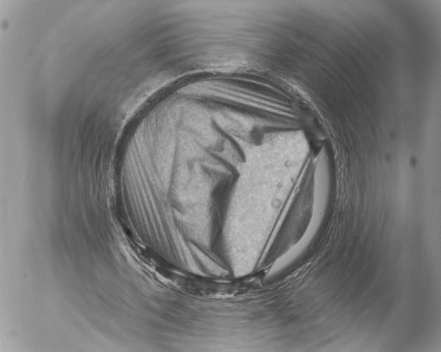 X0000053080532200508081248