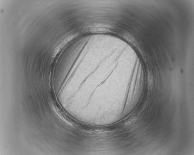 X0000053080533200508081248