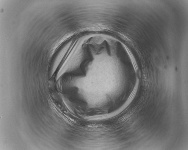 X0000053080535200508081248