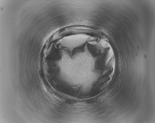 X0000053080536200508081248